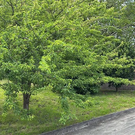 Casa De Outes * Serra De Outes