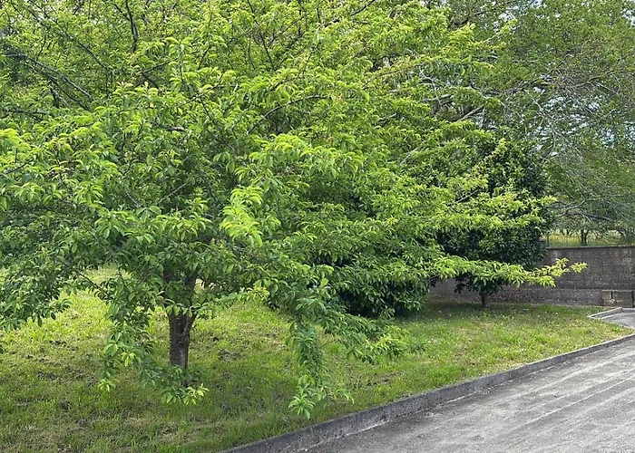 Casa De Outes * 시에라 데 오우테스